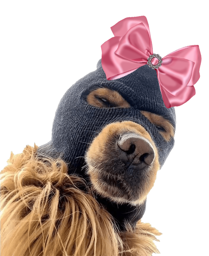 apestore-trade-mrs-ski-mask-dog-on-base-with-low-fees-and-convenience