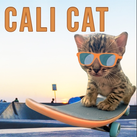 ApeStore - Trade CALI CAT on Base with low fees and convenience